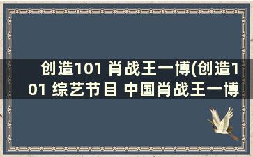 创造101 肖战王一博(创造101 综艺节目 中国肖战王一博是哪一期)